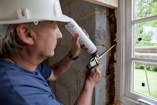 Best Home Insulation Services  in Fox Lake Hls, IL